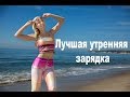 ЛУЧШАЯ УТРЕННЯЯ ЗАРЯДКА ☀ ПРОСЫПАЕМСЯ ВМЕСТЕ! (ШАРЛОТТ, СЕВЕРНАЯ КАРОЛИНА)