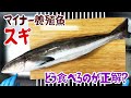 マイナー養殖魚「スギ」、どう食べるのが正解?