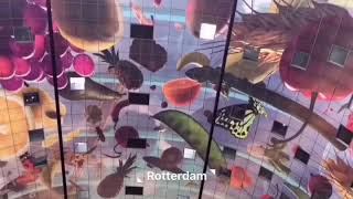 MVRDV#Rotterdam
