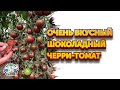 СЛАДКИЙ СОРТ ЧЕРРИ ТОМАТОВ - Конфеты с грядки