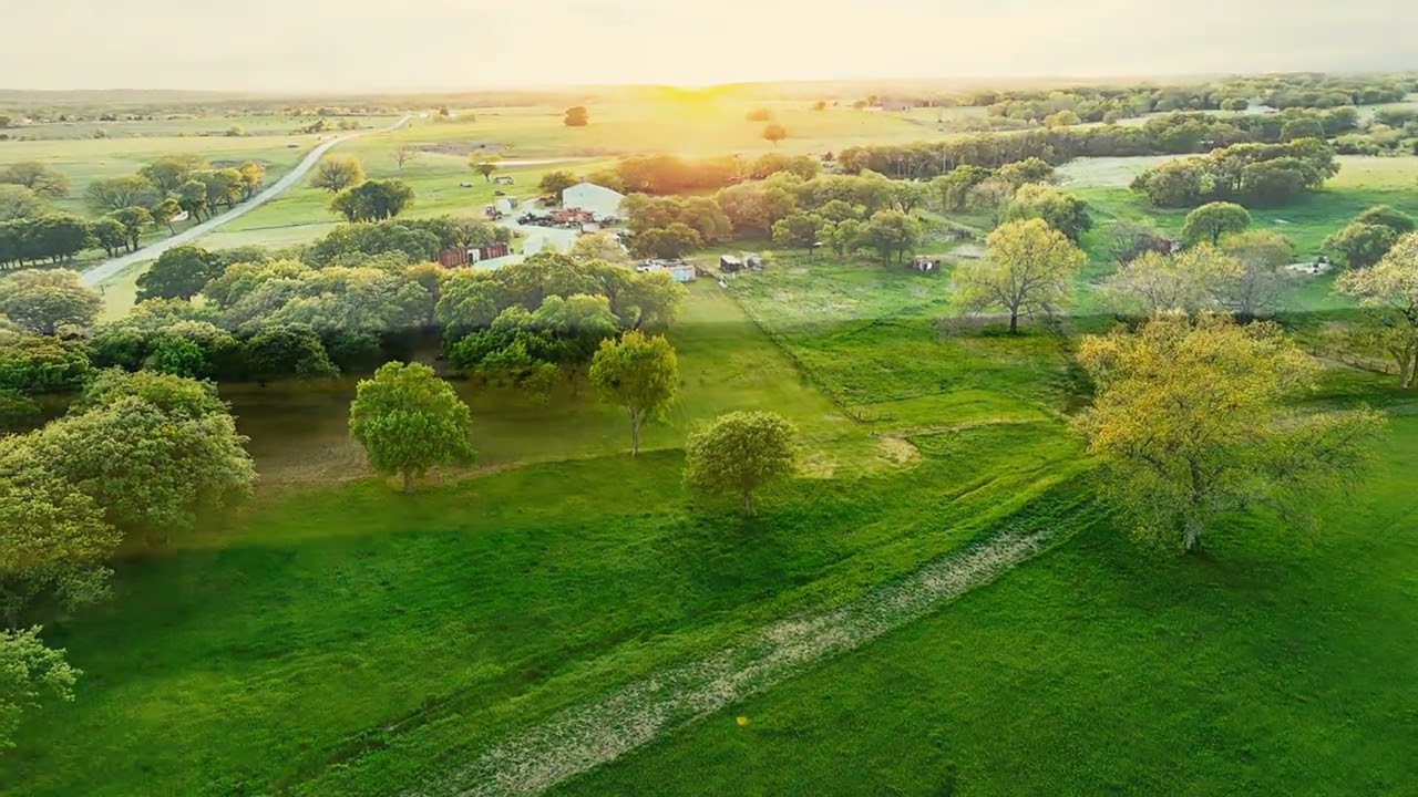 Springtime on The Farm