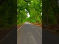#songviral #nature #youtubeshorts #viral#shortvideos #viral#reels#offical Prachi vlogs