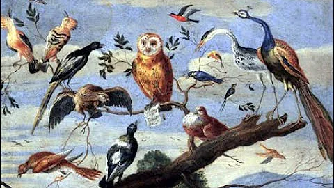 Jean-Philippe Rameau: Le Rappel des Oiseaux . Robe...