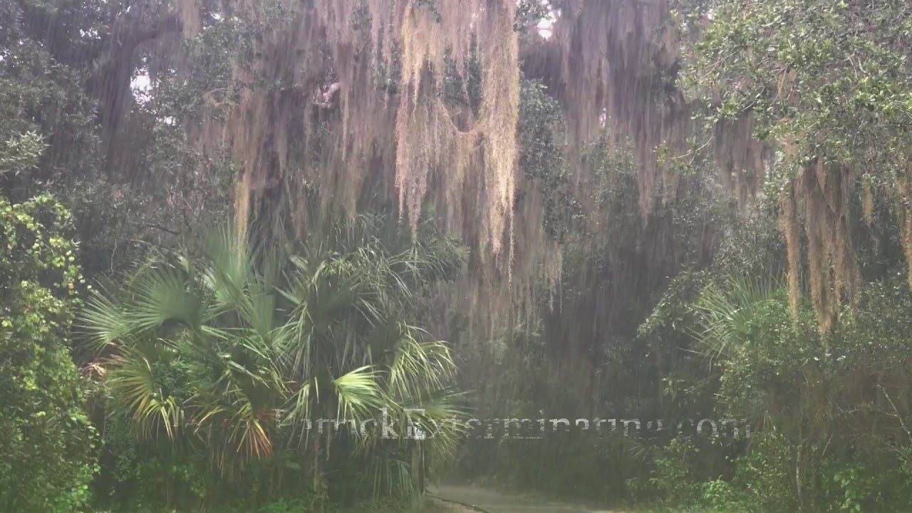 Bugs hate stormy weather as much as we do!