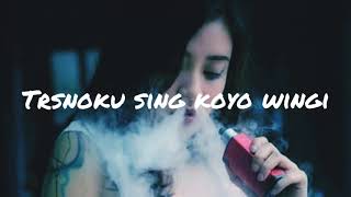 Ra Bakal Tak Baleni Tresnoku Sing Koyo Wingi (Story Wa) Lyrics