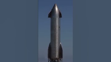 Starship flap test/dance 😂😂