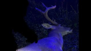 Bigfoot Wouldnt Stop Haunting Family In Michigan (Squatchable Stories)
