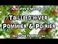 #118 TAILLE D'HIVER POMMIER et POIRIER AU VERGER DU JARDIN EN PERMACULTURE documentaire nature