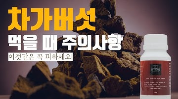 차가버섯먹는방법 주의사항 차가버섯효능을 감소시키는 식품~ 상락수차가버섯정보