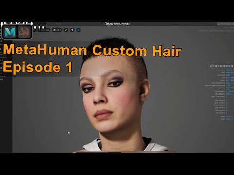 Ornatrix / Maya: إنشاء تسريحة شعر لشخصية Meta Human | الحلقة 1