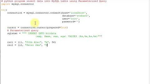 python program insert data into MySQL table using Parameterized Query