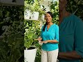 #plants care#gardenhacks #gardening