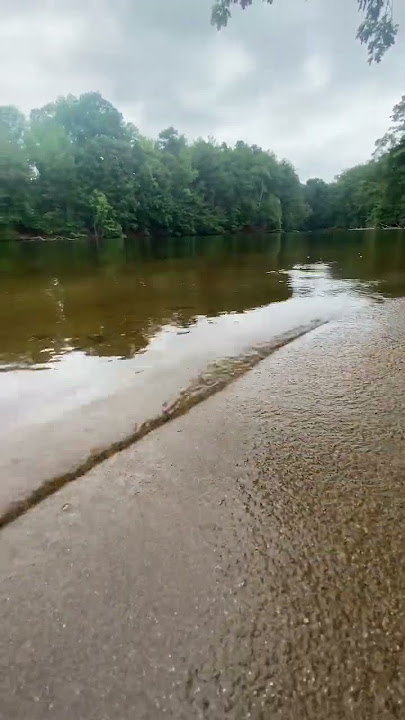 Amazing Lake #amazing #lakelife #lakeambience #lakeshorts