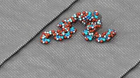 DNA on graphene steps