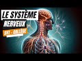The Nervous System SVT College