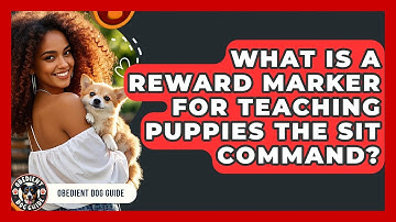What Is A Reward Marker For Teaching Puppies The Sit Command? - Obedient Dog Guide