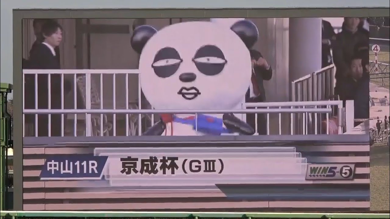 【京成杯ファンファーレの途中からおこる静かな笑い】2026年1月18日（日）中山競馬場