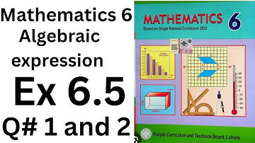 Mathematics class 6  Domain 2 Ex 6.5| class 6 Unit 2 Ex 6.5 Q# 1 and 2 @ytacademy198