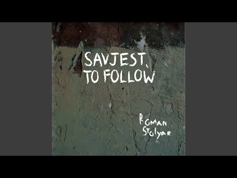 Roman Stolyar — Zenica, Like Zen