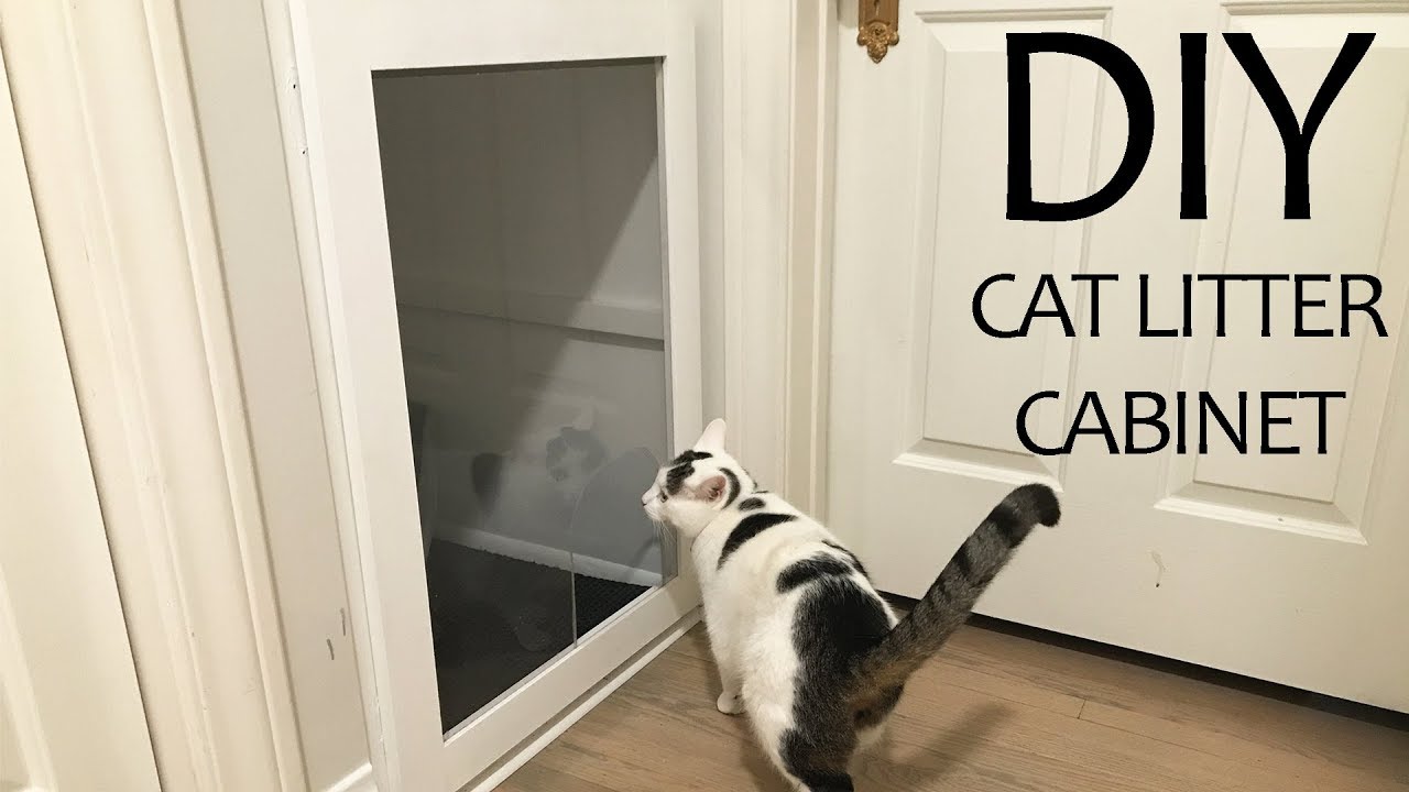 Diy Cat Litter Cabinet Youtube