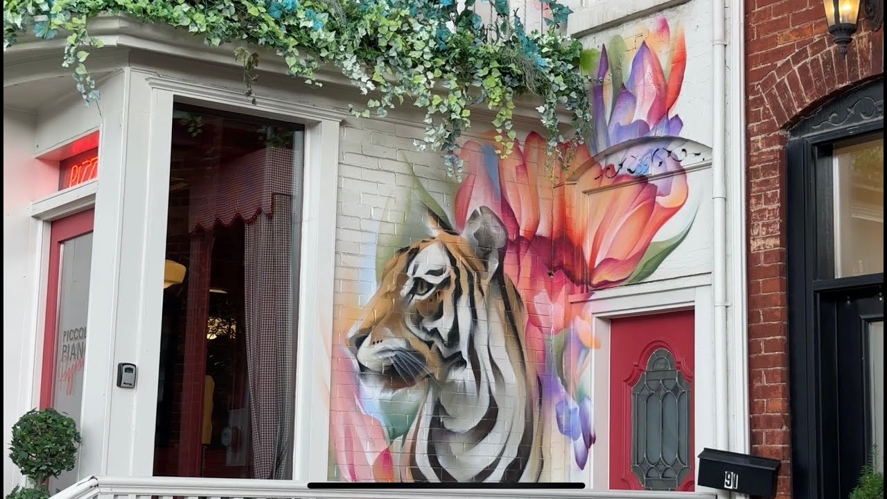 A Walk Through Harbord Village, Toronto