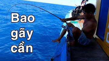 câu cá biển côn  đảo | câu mực đêm | fishing video