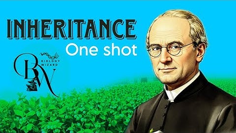 Inheritance (One shot) | Polygenic Inheritance | Epistasis | Gene Linkage | Genetic Disorders MDCAT 