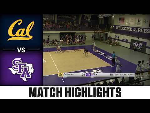 Cal vs. Stephen F. Austin Match Highlights | 2026 ACC Volleyball