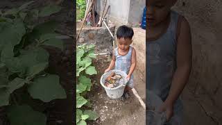 Zayn's little brother is diligently cleaning the yard #ourchild #shortvideo #trending #cute #tren...