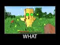 Minecraft wait what meme part 256 realistic minecraft Totem of Undying