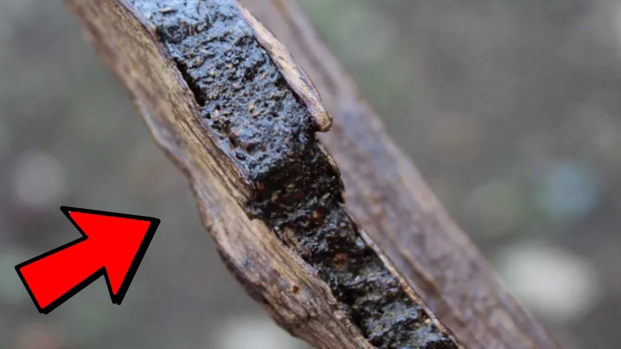 10 Přírodních Látek Cennějších Než Zlato