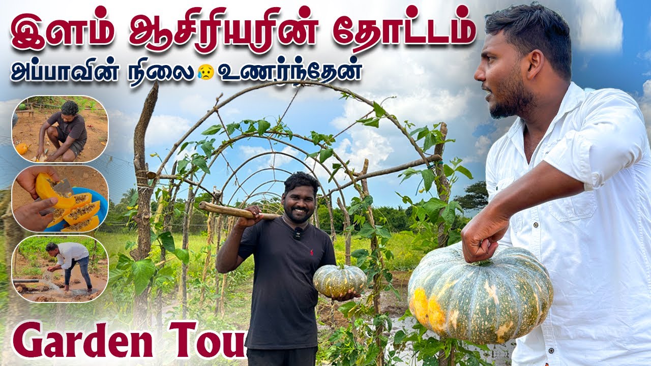 இளம் ஆசிரியரின் தோட்டம் 😱 | அப்பாவின் நிலை😥 உணர்ந்தேன் | Garden Tour | Pavaneesan