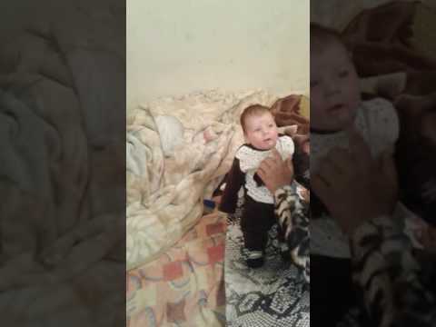 حسن حسن2017حسن