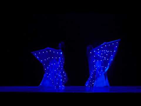 Танец со светодиодными крыльями- Юлия Каленюк