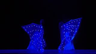 Танец со светодиодными крыльями, Юлия Каленюк