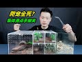 據廣大粉絲猜測，我養的爬寵已經全軍覆沒，到底是不是真的