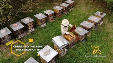 Bestseller of beekeeping