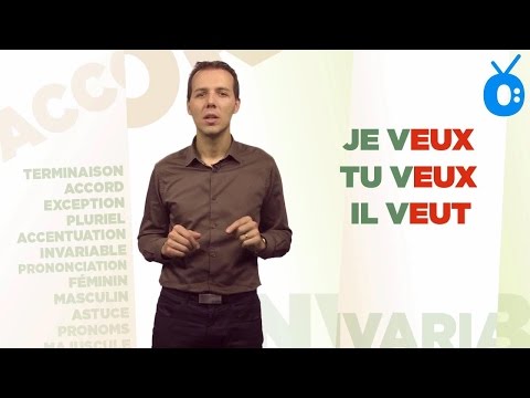 Vidéo: Quels mots se terminent par q ?