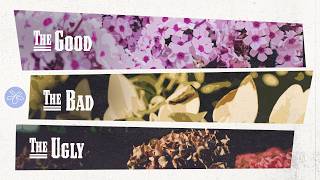 The Good, the Bad & the Ugly: An Honest Late-Summer Garden Tour