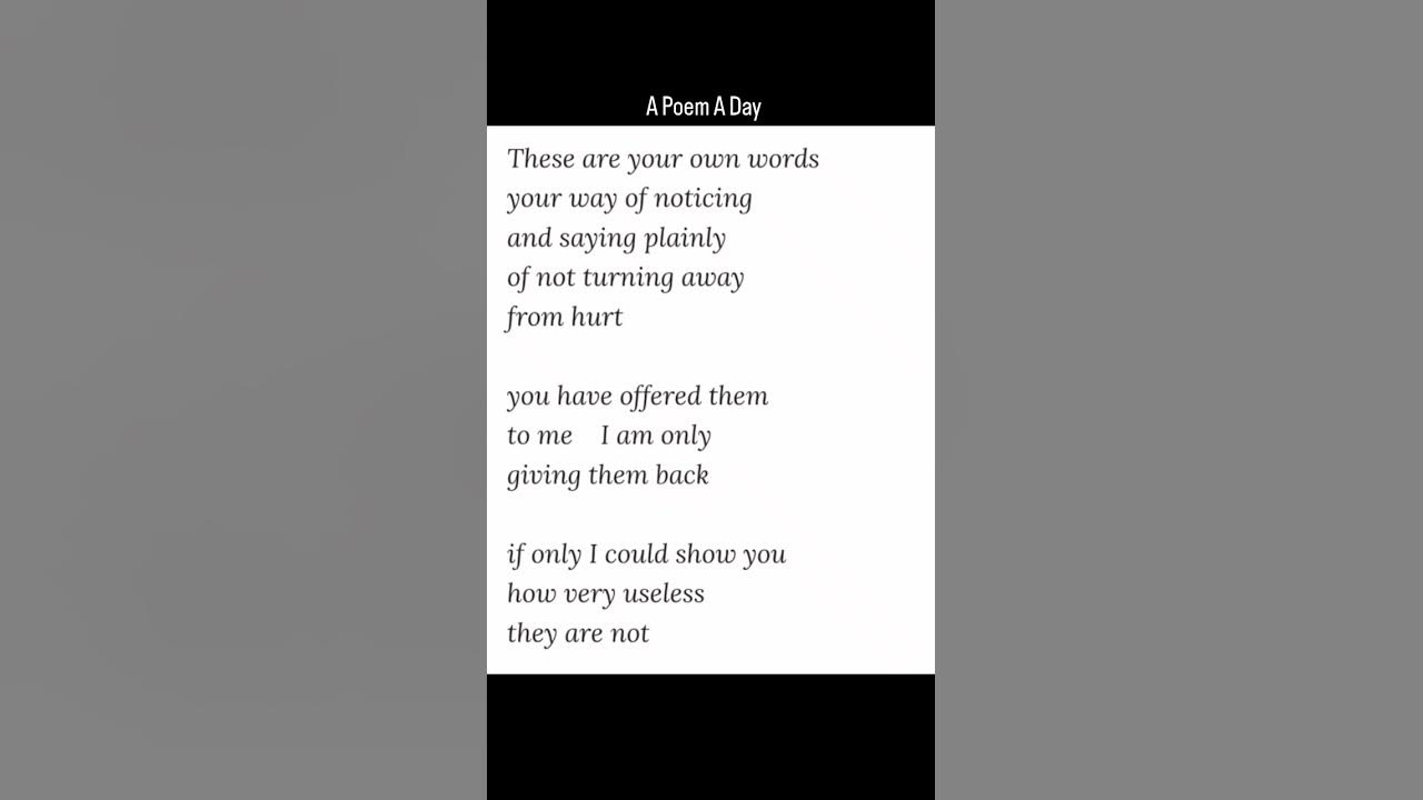  bird understander by craig arnold a poem a day youtube