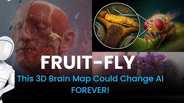Mapping the Fruit Fly Brain: A Groundbreaking Discovery in Neuroscience