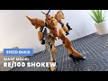 Speed Build RE 1/100 Shokew | Wasp Model Bootleg