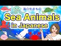 Sea Animals in Japanese with Quiz! 🇯🇵 -Octopus, Squid, Whale, Sea otter, Jellyfish, Crab etc