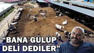 'They Laughed at Me and Called Me Crazy!' Started with 30 Cows and Reached 600 / İmamoğlu Dairy Farm