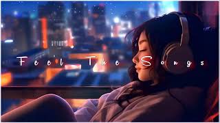 Feel The Songs 🎵✨ || New 2024 Remix Lofi Mashup Songs || Slowed x Reverb #lofisong #alonesadmashup