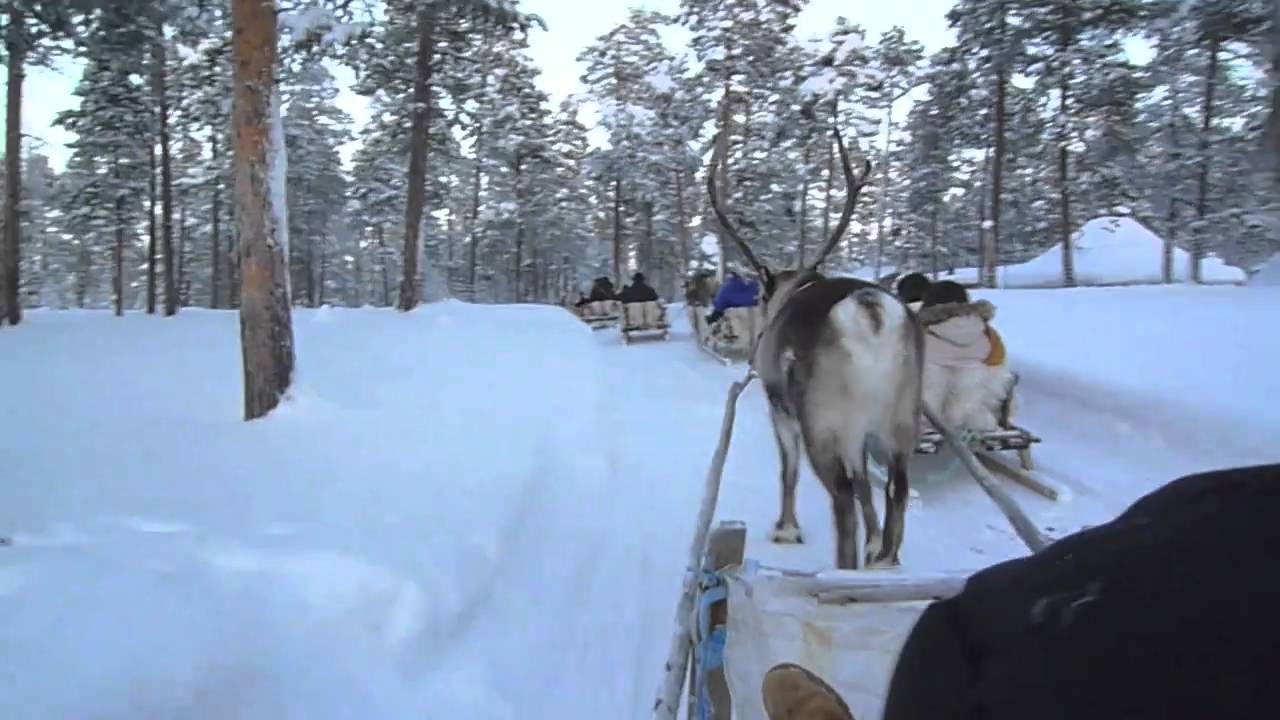 Lapland trailer