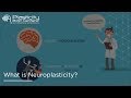 What is Neuroplasticity?