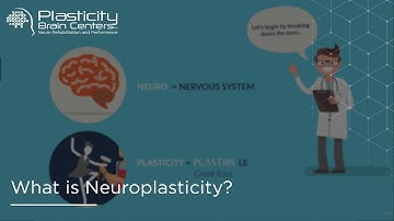 What is Neuroplasticity?
