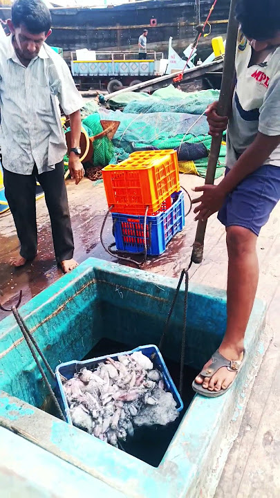 How to fishing 🎣 Life