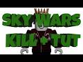What I Like About Roblox Sky Wars Plus Killing Montage
